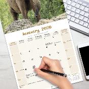 CALENDRIER 2026 - ELEPHANTS