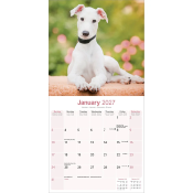 CALENDRIER 2027 - GREYHOUND