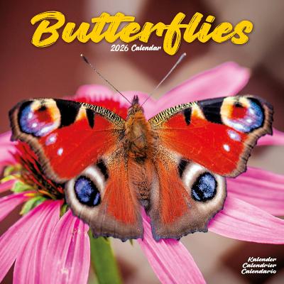 CALENDRIER 2026 - PAPILLONS INSECTES
