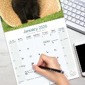 CALENDRIER 2026 - SCHIPPERKE