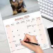CALENDRIER 2026 - TECKEL POIL DUR