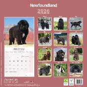 CALENDRIER 2026 - TERRE NEUVE