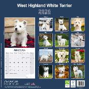 CALENDRIER 2026 - WEST HIGHLAND TERRIER