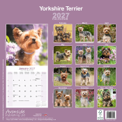 CALENDRIER 2027 - YORKSHIRE TERRIER