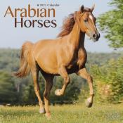 CALENDRIER 2022 - CHEVAUX ARABES