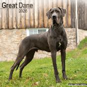 CALENDRIER 2026 - DOGUE ALLEMAND