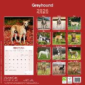 CALENDRIER 2026 - GREYHOUND