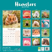 CALENDRIER 2026 - HAMSTERS