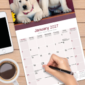 CALENDRIER 2027 - LABRADOR SABLE