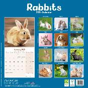 CALENDRIER 2026 - LAPINS NAINS