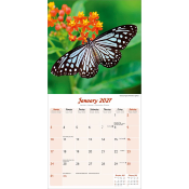 CALENDRIER 2027 - PAPILLONS INSECTES
