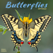 CALENDRIER 2027 - PAPILLONS INSECTES