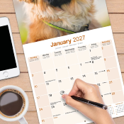 CALENDRIER 2027 - PEKINOIS