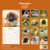 CALENDRIER 2027 - PEKINOIS