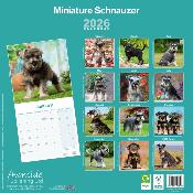 CALENDRIER 2026 - SCHNAUZER NAIN