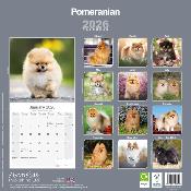 CALENDRIER 2026 - SPITZ NAIN