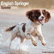 CALENDRIER 2026 - SPRINGER SPANIEL ANGLAIS