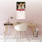 CALENDRIER 2026 - WELSH CORGI