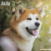 CALENDRIER 2022 - AKITA