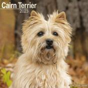 CALENDRIER 2023 - CAIRN TERRIER