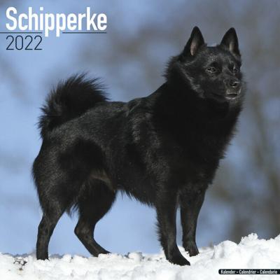 CALENDRIER 2022 - SCHIPPERKE