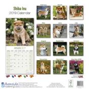 CALENDRIER 2019 - SHIBA INU