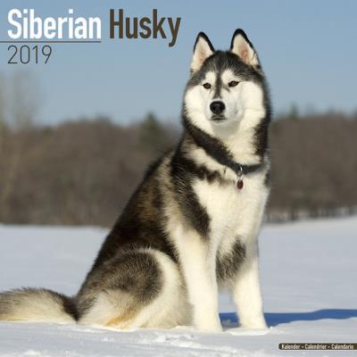 CALENDRIER 2019 - HUSKY