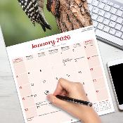 CALENDRIER 2026 - OISEAUX DES JARDINS