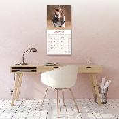 CALENDRIER 2026 - BASSET HOUND