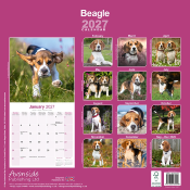 CALENDRIER 2027 - BEAGLE