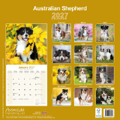 CALENDRIER 2027 - BERGER AUSTRALIEN
