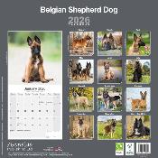 CALENDRIER 2026 - BERGERS BELGES