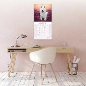 CALENDRIER 2026 - BERGER BLANC SUISSE
