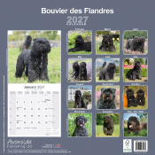 CALENDRIER 2027 - BOUVIER DES FLANDRES