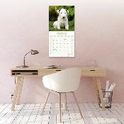 CALENDRIER 2026 - BULL TERRIER