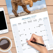 CALENDRIER 2027 - CANICHE STANDARD