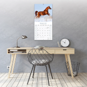 CALENDRIER 2027 - CHEVAUX ARABES