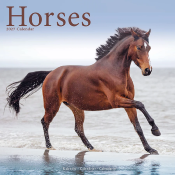 CALENDRIER 2027 - CHEVAUX