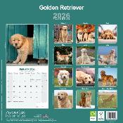 CALENDRIER 2026 - GOLDEN RETRIEVER