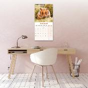 CALENDRIER 2026 - HAMSTERS