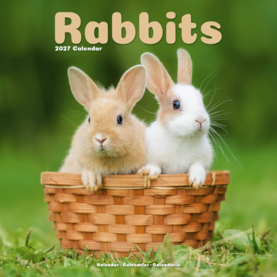 CALENDRIER 2027 - LAPINS