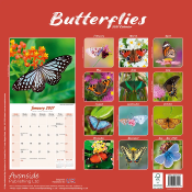 CALENDRIER 2027 - PAPILLONS INSECTES