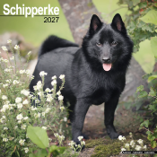 CALENDRIER 2027 - SCHIPPERKE