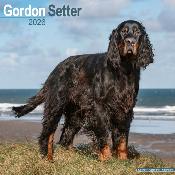 CALENDRIER 2026 - SETTER GORDON