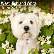 CALENDRIER 2026 - WEST HIGHLAND TERRIER