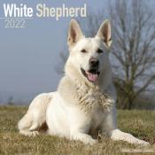 CALENDRIER 2022 - BERGER BLANC SUISSE