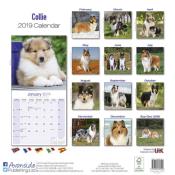 CALENDRIER 2019 - COLLEY