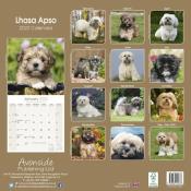 CALENDRIER 2022 - LHASSA APSO