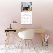 CALENDRIER 2026 - AIREDALE