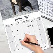 CALENDRIER 2026 - AMERICAN STAFFORDSHIRE TERRIER